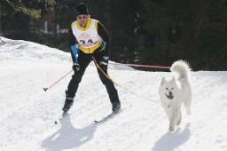 San Bernardino 2011